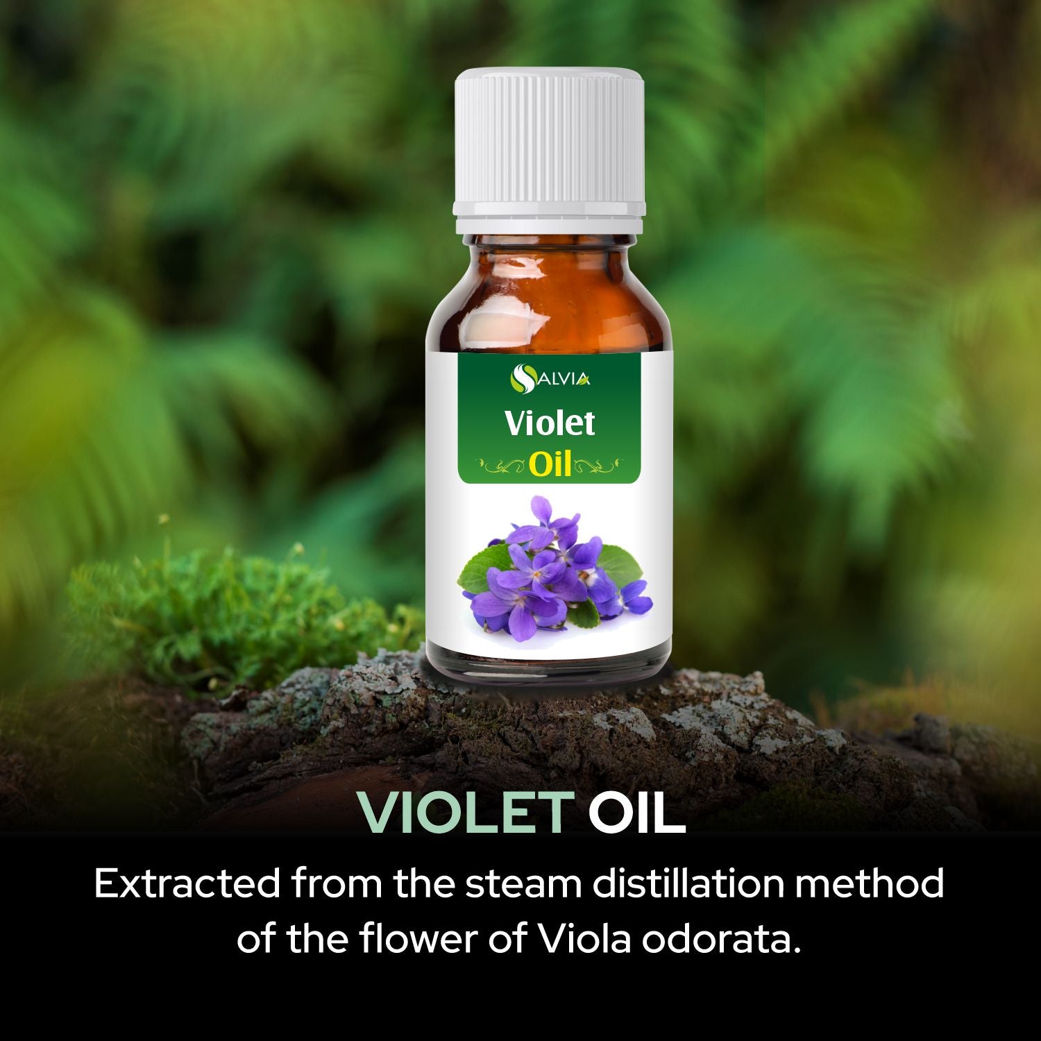 Salvia Natural Essential Oils,Dandruff,Greasy Oil,Anti Fungal,Anti-fungal Oil,Oil for Greasy Hair Violet Oil Salvia Natural Essential Oils,Dandruff,Greasy Oil,Anti Fungal,Anti-fungal Oil,Oil for Greasy Hair Violet Oil